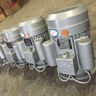 厂家直销纯铜220V异步双值电动机3KW2880转速马达图2