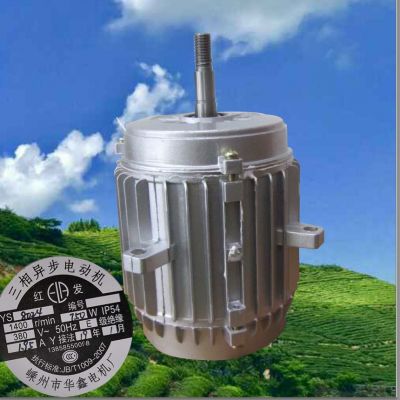 三相异步电动机YS8024-750W冷库电机380V电机图3