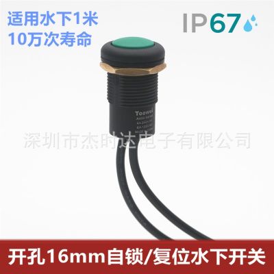 多色带线水下按钮开关/自锁/复位防水开关/IP67 4A 250V/户外开关图2