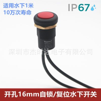多色带线水下按钮开关/自锁/复位防水开关/IP67 4A 250V/户外开关图3