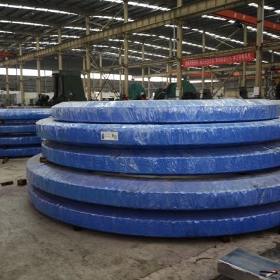 甲板起重机回转支承图2