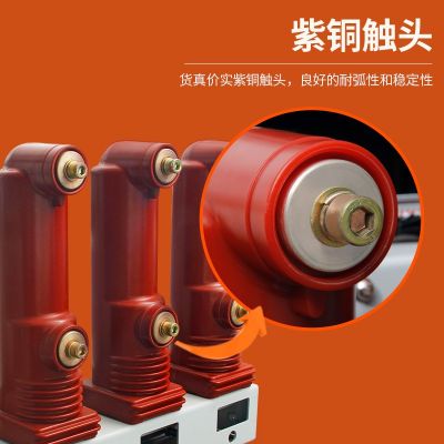 vs1断路器 侧装式图4