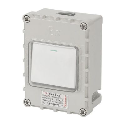 IP66化工矿区防暴雨防溅工业电源墙壁双控开关户外防水防爆开关图4