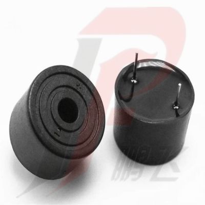 厂家批发压电有源24MM*16MM蜂鸣器2416插针3V-24V图2