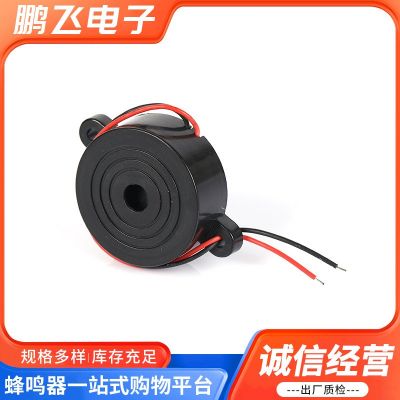 厂家批发压电引线42MM*16MM蜂鸣器4216有源引线3V-24V图4