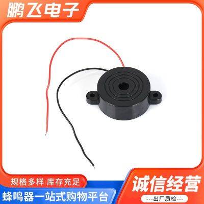厂家批发压电引线42MM*16MM蜂鸣器4216有源引线3V-24V图2