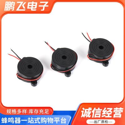 厂家批发压电引线42MM*16MM蜂鸣器4216有源引线3V-24V图3