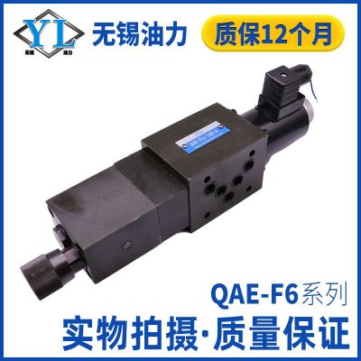 QA-F6D电磁单向调速阀Q-F6D-P/2QA/QAE-F6/10D-A /F6/1 6D-BU/AU-B图4