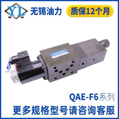 QA-F6D电磁单向调速阀Q-F6D-P/2QA/QAE-F6/10D-A /F6/1 6D-BU/AU-B图2
