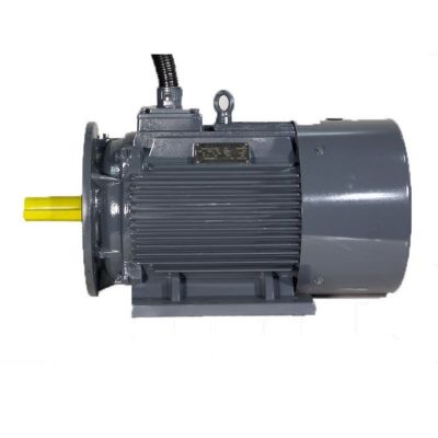 新大力电机TYCP160M2-8-30KW永磁变频电机系列节能电机图5