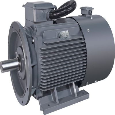 新大力电机TYCP160M2-8-30KW永磁变频电机系列节能电机图3