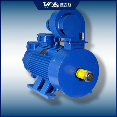 新大力 起重及冶金用 一级能效 三相异步绕线转子电机 YZR280S-10 37KW图2