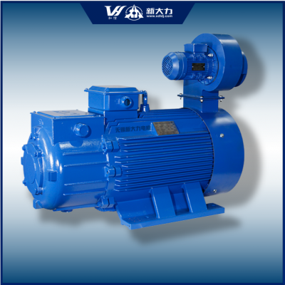 新大力 起重及冶金用 一级能效 三相异步绕线转子电机 YZR280S-10 37KW图5