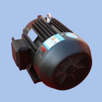 YX3三相异步电动机 品质优选低压 超高效 特中电机图2