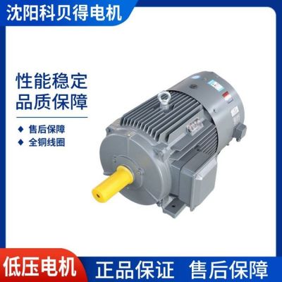 【沈科集团】YVP系列（IP54）机座号（H80-355）变频调速范围广图2