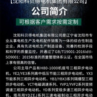 【科贝得】YZPE，YZPF（H112-355）系列起重冶金电机用电磁制动 厂家图4