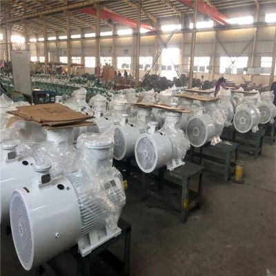 YBBP变频电机 灰白色矿用变频 隔爆电机 低压0.55kw-375kw图4