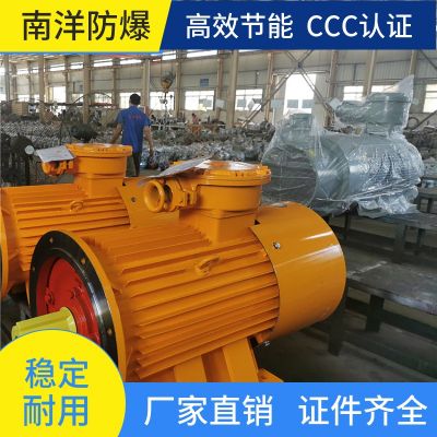 YBS 输送机用隔爆型三相异步电动机 南洋全国供应图4