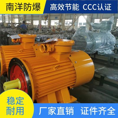 YBS 输送机用隔爆型三相异步电动机 南洋全国供应图2