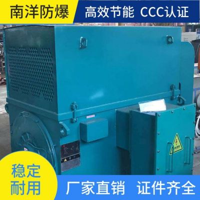 YKK高压电机 防锈耐磨损 高效节能噪音低 适用于煤矿 机械工业图3