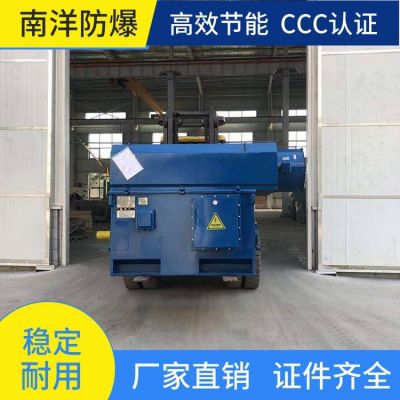 YKK高压电机 防锈耐磨损 高效节能噪音低 适用于煤矿 机械工业图4