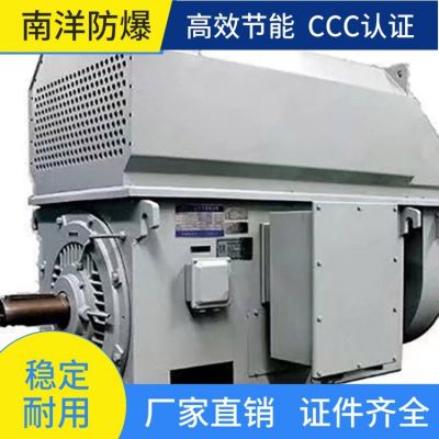 YKK高压电机 防锈耐磨损 高效节能噪音低 适用于煤矿 机械工业图5