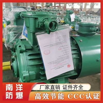 YBBP变频防爆电机 低噪音易安装 多种规格可选择图2