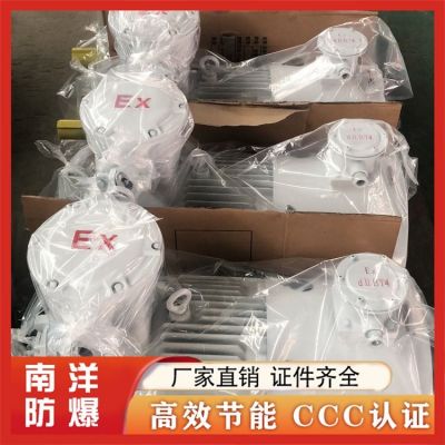 YBBP变频防爆电机 低噪音易安装 多种规格可选择图4