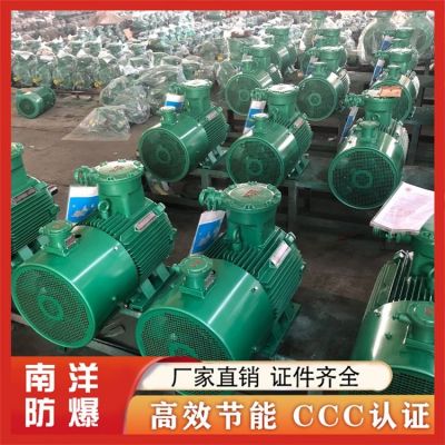 YBBP变频防爆电机 低噪音易安装 多种规格可选择图5