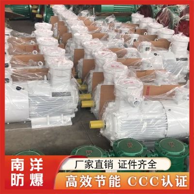 YBBP变频防爆电机 低噪音易安装 多种规格可选择图3