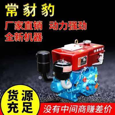 中国常州船用农用单缸水冷R175柴油机 6马力柴油机图3