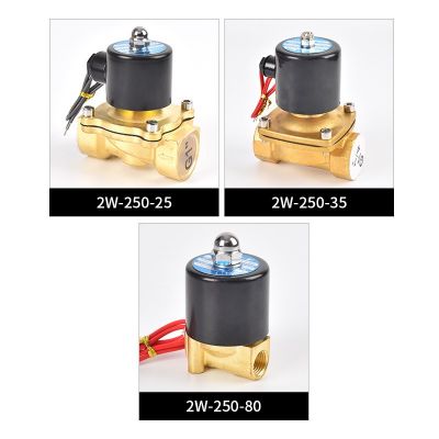 2W200-20/025-06/040-10二位二通水阀水用电磁水阀控制阀锌铜体图2