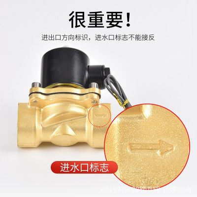 2W200-20/025-06/040-10二位二通水阀水用电磁水阀控制阀锌铜体图3