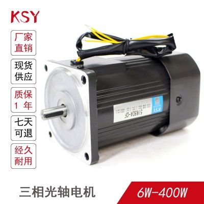 三相光轴电机单相定速马达6W15W25W40W60W90W120W180W200W370W400图3