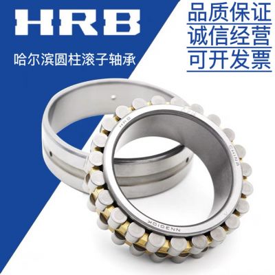 哈尔滨轴承 RN205M RN309M图2