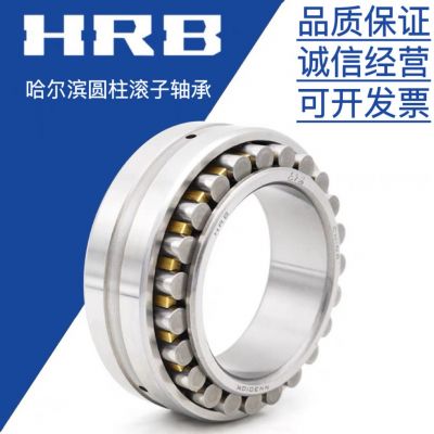 哈尔滨轴承 RN205M RN309M图3