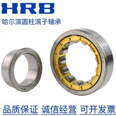 哈尔滨轴承 N RN NU NJ NUP RNU 308 309 310EM 圆柱滚子轴承图2