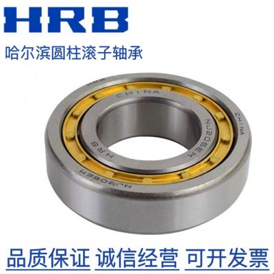 哈尔滨轴承 N RN NU NJ NUP RNU 308 309 310EM 圆柱滚子轴承图3