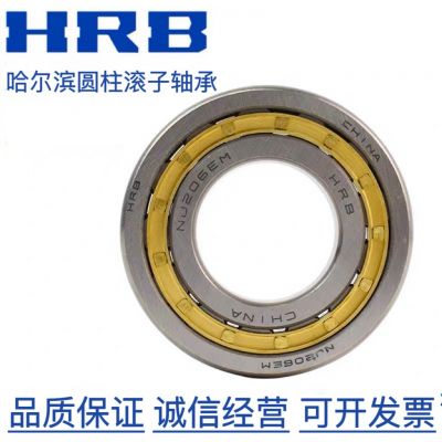 哈尔滨轴承 N RN NU NJ NUP RNU 308 309 310EM 圆柱滚子轴承图4