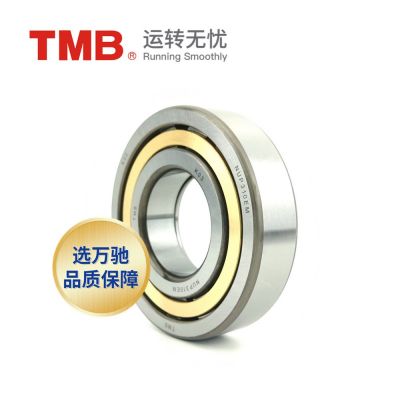 TMB/天马轴承NUP1020M高精度圆柱滚子轴承通用轴承ECM旗舰品质图4