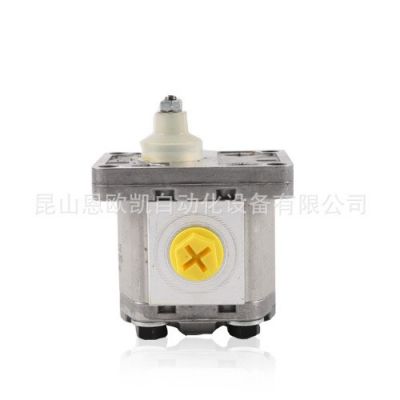 意大利BONDIOLI齿轮泵HPLPA136DDDG3G3B00图5