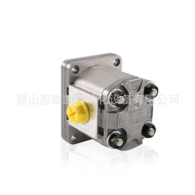 意大利BONDIOLI齿轮泵HPLPA136DDDG3G3B00图2