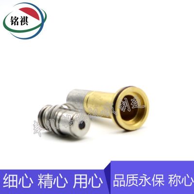 电磁阀组件先导头静铁芯动铁芯不锈钢阀杆阀芯配件纺织机空压机图3