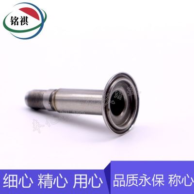 电磁阀配件 不锈钢材质纯铁铁芯 动铁芯 先导头组件 汽车配件图3