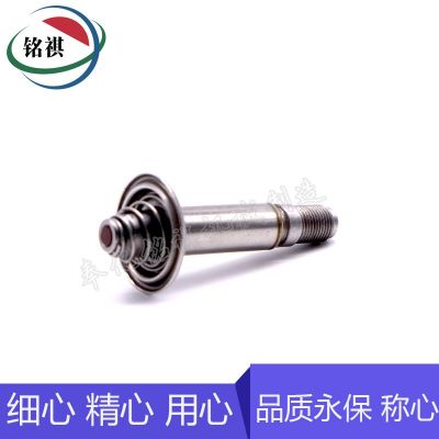 电磁阀配件 不锈钢材质纯铁铁芯 动铁芯 先导头组件 汽车配件图2