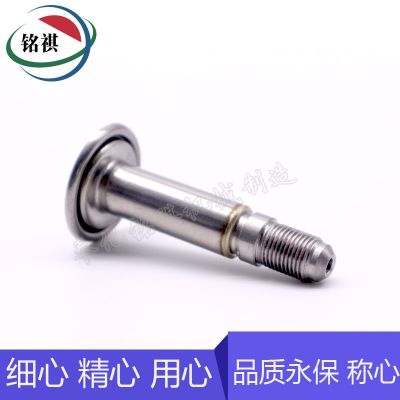 电磁阀配件 不锈钢材质纯铁铁芯 动铁芯 先导头组件 汽车配件图5