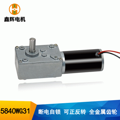 5840涡轮蜗杆减速马达24V静音自锁窗帘电机31直流减速电机图2