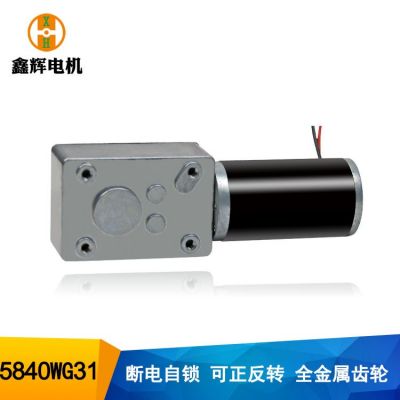 5840涡轮蜗杆减速马达24V静音自锁窗帘电机31直流减速电机图5
