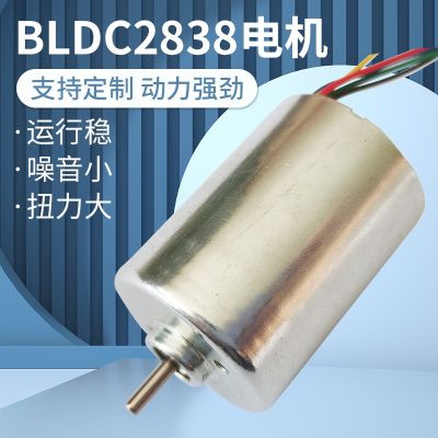 BLCD2838无刷小电机马达静音理发电剪马达小型变速直流电机