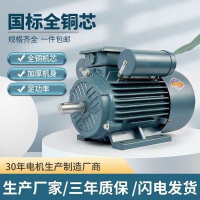 国标纯铜单相电机220V单相双值电容电机0.37~7.5KW卧 式立式电机图2